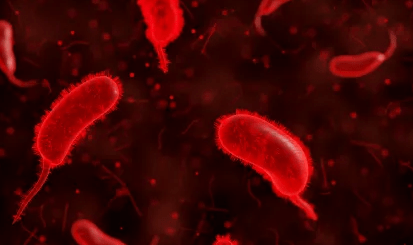 باکتری‌های خون‌آشام در کمین انسان ها