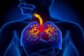 دلیل افزایش بیماری‌های تنفسی در روزهای اخیر مشخص شد