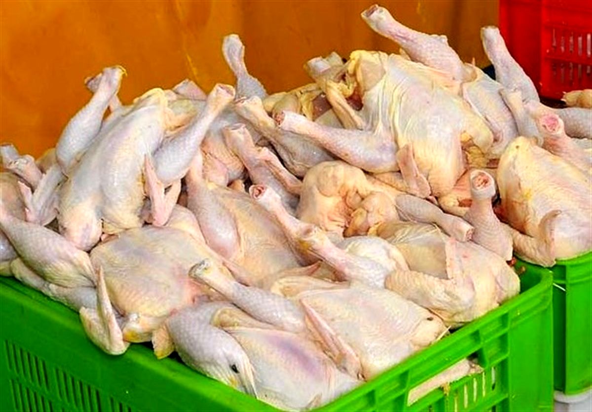 قیمت مرغ در ایام عید و رمضان