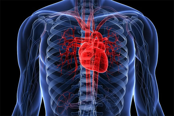 چگونه بفهمم نارسایی قلبی دارم؟